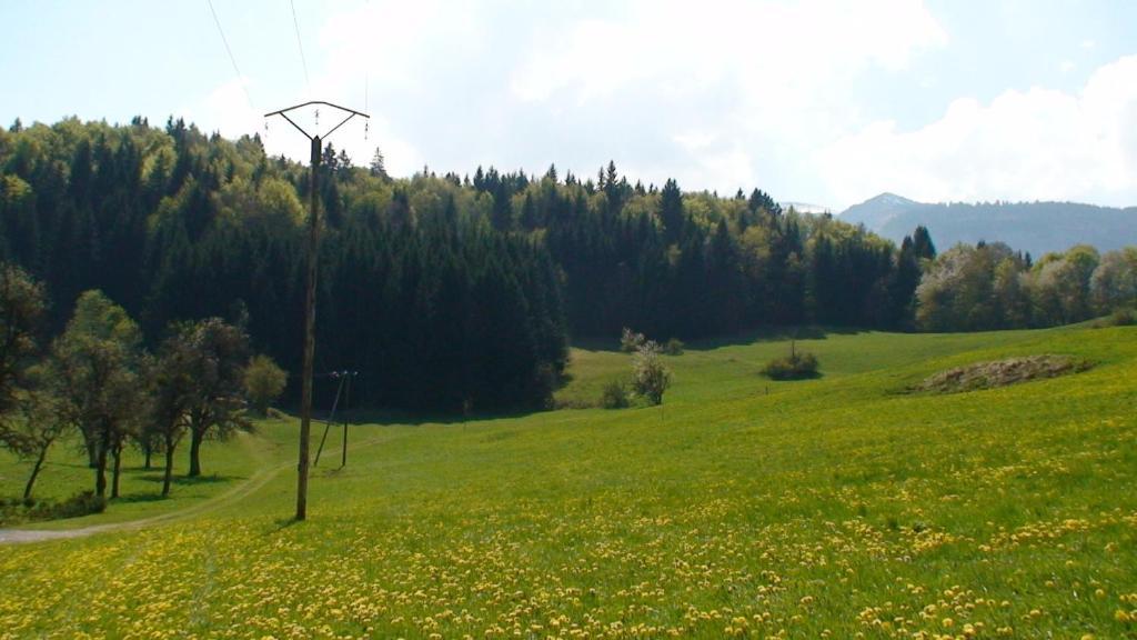 Le Chalet D'Ulysse Arâches Zewnętrze zdjęcie