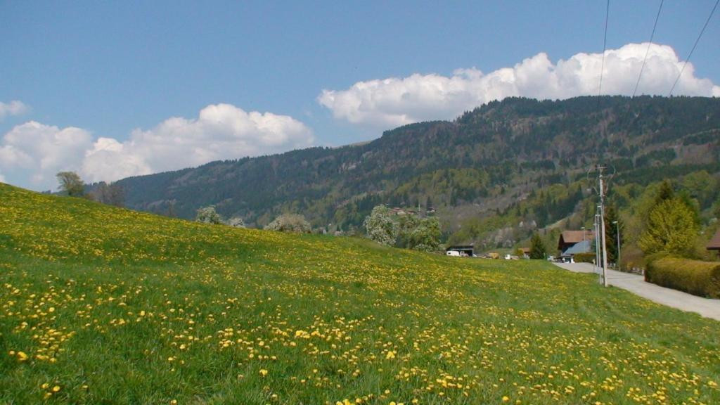 Le Chalet D'Ulysse Arâches Zewnętrze zdjęcie